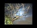 Cancion Misterios Guarda La Noche Video