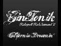 videos de GinTonik-California Dreamin'