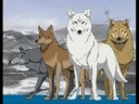Wolfs Rain