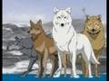 Wolf's Rain Opening -Full-