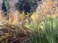 Hommel au C�vennes juste avant de se planter