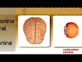 C�mo combatir la astenia primaveral