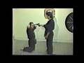 1987 Seicho Jutsu demonstration