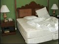 Where do Bed Bugs live and How to Get Rid of Them