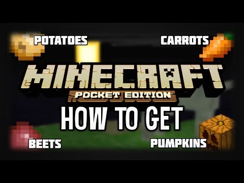 how to grow jack o lanterns in minecraft