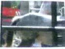 Stop Stillmans Horse Slaughter-UK Stop Stillmans Horse Slaughter-UK