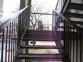 Chester ventures out after ACL surgery
