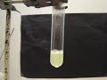 DNA uit kiwi's