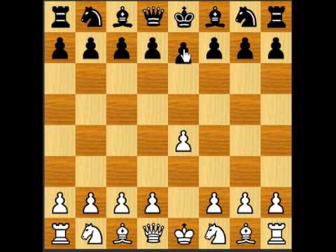 chess chess