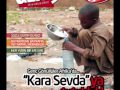 Genç Dergi, Genç Gönüllüler, Genç Akademi