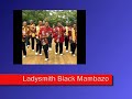 ladysmith black mambazo 
gift of the tortoise