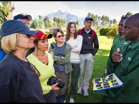 African West Coast, Gorillas and the Mara - Latitude 33 Luxury Tour