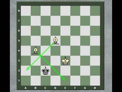 checkmate