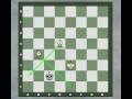 Chess Endgame: Two Bishop Checkmate