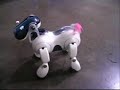 Sony Aibo ERS-7M2