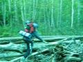 videos de Beaver bridge