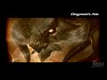 Dragoneer's Aria - tuttopsp.com/forum