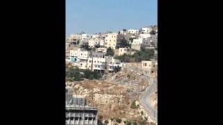 معلومه صغيره عن قرية الريحيه بصوت ابو انس الهرش