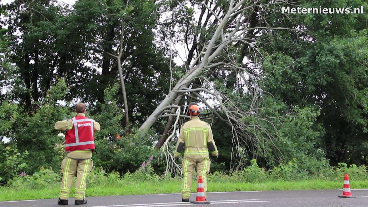 Boom dreigt op weg te vallen in Bunne (video)