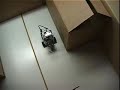 LEGO Mindstorms LEGO Mindstorms