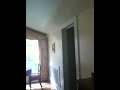 IMG 0209