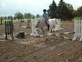 Gate Jumping On A Horse | Nepean Park