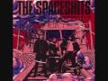 Spaceshits - Can't Fool With Me from their Misbehavin' album Spaceshits features a pre King Khan & BBQ, Arish A. Khan aka Black Snake aka King Khan, and Mark Sultan aka BBQ.