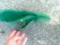 (;x) Tentando Pegar a bola 3