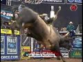 Vince Northrup Vs. Chicken on a Chain Vince Northrup Vs. Chicken on a Chain
