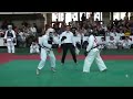 ANKF nippon kempo It