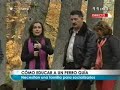 Se Necesitan Familias Para Perros Guía