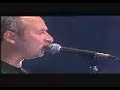Alas de Fuego - Rock - Necesitas Amor