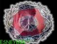 videos de santa destruxion