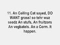 Lolcat Bible - Genesis 1