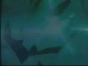 dbz broly amv dbz broly amv