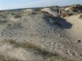 Baja Elcon Clutch test