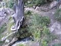 Overhead Shot Of Goldbug Hot Springs Pool And Waterfall