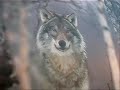leiria exposi��o wild treasures
localizada em pleno centro de leiria, junto ao jardim lu�s de cam�es, na pra�a paulo vi e local de passagem de milhares de pessoas todos os dias, esta exposi��o de exterior, fica ao mesmo n�vel de exposi��es similares que se fazem nos grandes centros urbanos de capitais de toda a europa.  
http://leiriaaminhacidade.blogs.sapo.pt/