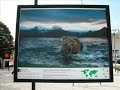 leiria exposi��o wild treasures
localizada em pleno centro de leiria, junto ao jardim lu�s de cam�es, na pra�a paulo vi e local de passagem de milhares de pessoas todos os dias, esta exposi��o de exterior, fica ao mesmo n�vel de exposi��es similares que se fazem nos grandes centros urbanos de capitais de toda a europa.  
http://leiriaaminhacidade.blogs.sapo.pt/