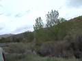 2008-05-31 | chasin' FB at reserve ~> see video...mountain biking boise military reserve trail history (01:01)