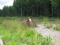 Puddle ridding