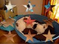 corail mon coton de tulear