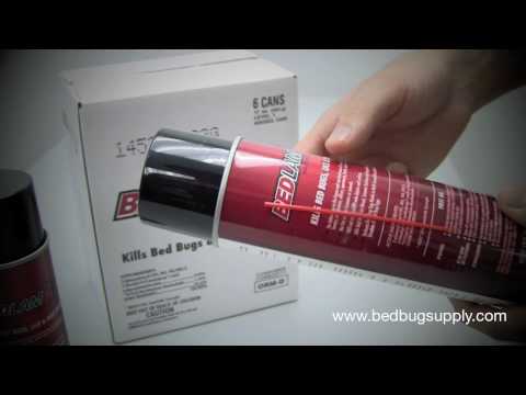 Bedlam Bed Bug Spray Review (how to use)