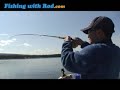 Rainbow Trout at Leighton Lake