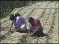 Paul Polak Pt.1-Paul Polak Talks About Poverty Alleviation