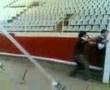 Corrida de toros beto And Bascu