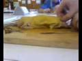 Why Phones Were Banned In Biology Part 4