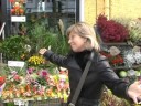 Berlin language course 08: Staging: Willkommen ... Berlin language course 08: Staging: Willkommen ...
