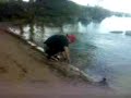 Dokument�ren om Robert del 1 swe