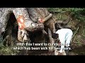 Biodiversity is our Life - Part 2